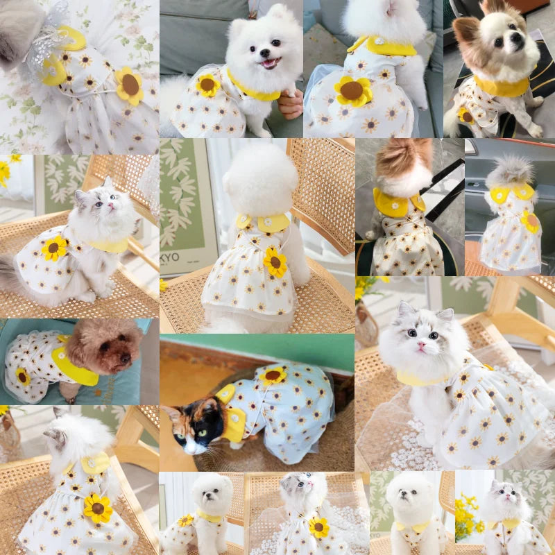 Luxury Dog Clothes Dog Sunflower Dress Summer Dog Costumes Pet Bow Lace Dog Skirt Chihuahua Bichon Kitten Apparel Puppy Clothing
